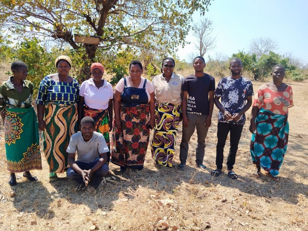 Tilime Honey Produce established Kuchigwa Community Group